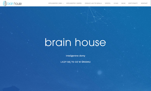 brain-house